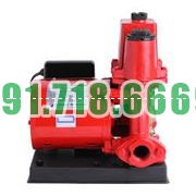 Bán Máy bơm nước chân không Shining SHP 250E 250W