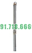 Bán Bơm chìm giếng khoan Mastra 3inch 750W