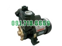 Bán Máy bơm nước chân không RollStar P-200