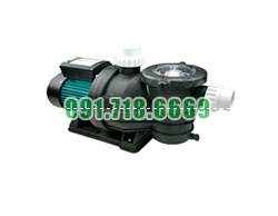Bán Máy bơm nước hồ bơi APP CBP-300