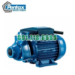Bán Máy bơm nước ly tâm Pentax PM Bán Máy bơm nước ly tâm Pentax PM